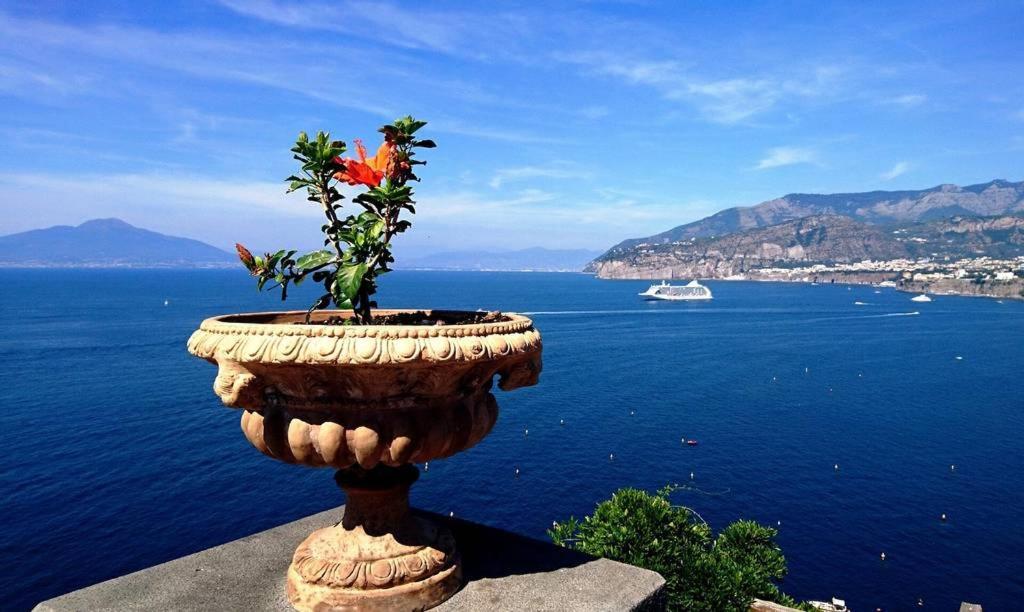 Grazia'S Home Sant'Agnello Exteriör bild